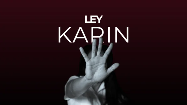 Ley Karin